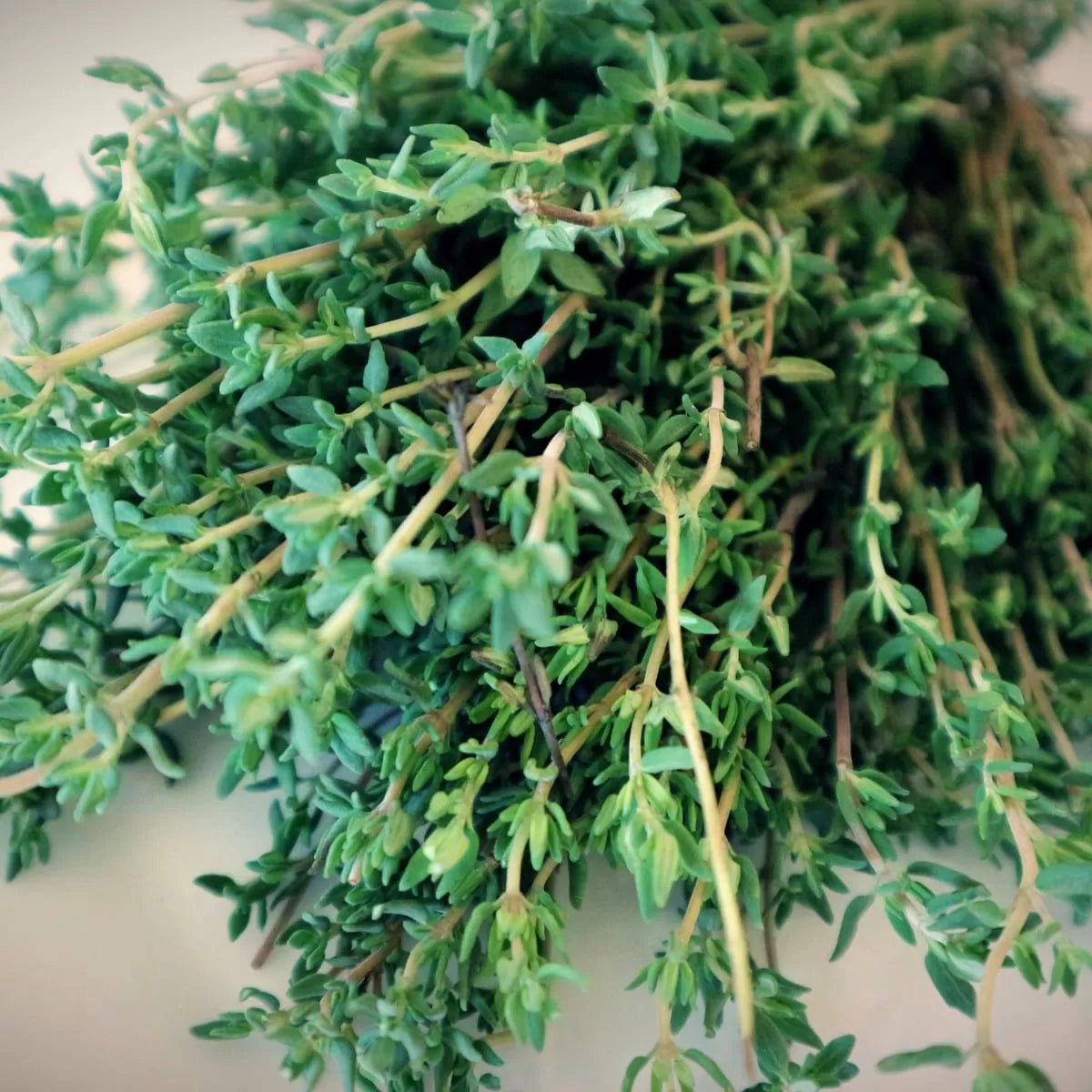 Dried Greek Thyme - tofillo - Herbs - Cretan Garden GmbH