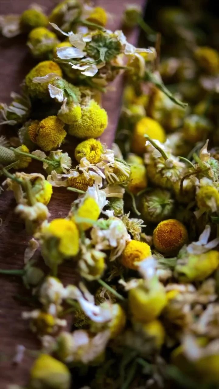 Tofillo Greek chamomile tea - tofillo - Herbs - Cretan Garden GmbH